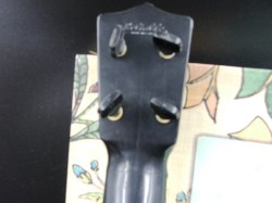 mouse geetars b